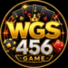 WGS 456 Game
