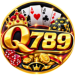 Q789 Game